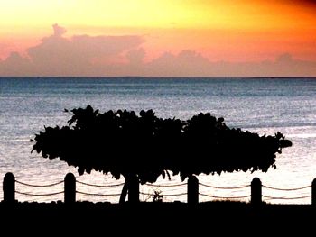 Scenic view of sea at sunset