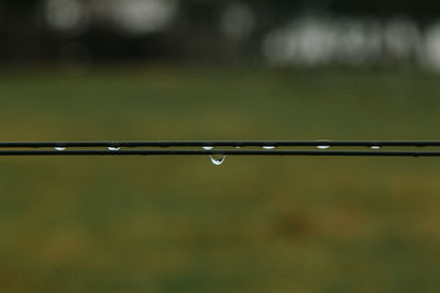 Close-up of water drops on metal