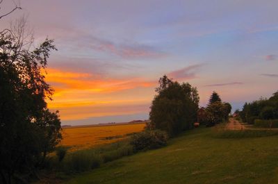 Scenic view of field against sky during sunset