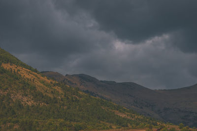 environment