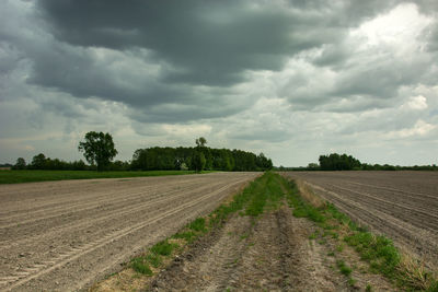 Scenic view of agricultural field against sky