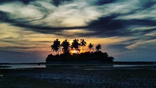 Silhouette trees on beach against sky at sunset