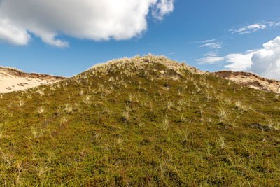 Low angle view of mountain against sky