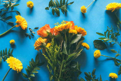 Close-up of yellow flowering plant