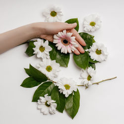 Midsection of woman holding white flowering plant