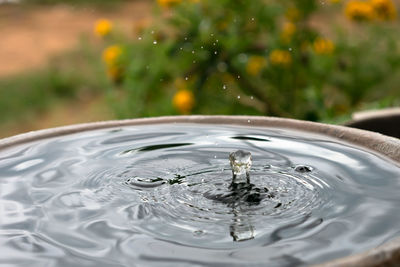 Close-up of water splashing in lake