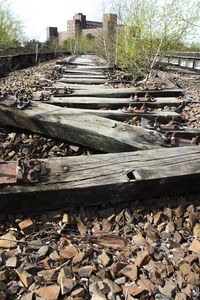 Railroad tracks by trees