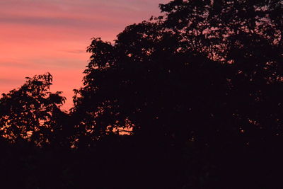 Low angle view of silhouette trees against sky during sunset