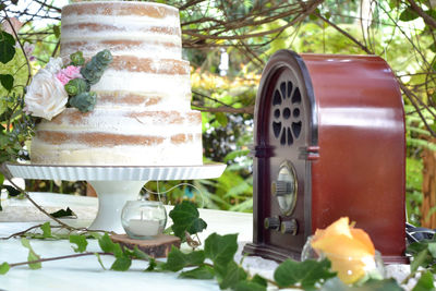 Close-up of food on table