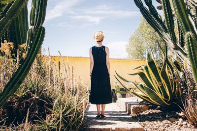 Rear view of a woman standing against trees