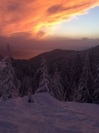 Scenic view of landscape against sky during sunset