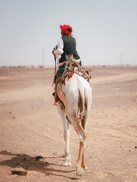 Back view of a bedouin young man with his camel in the desert 