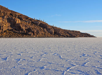 Surface level of rocky shore against blue sky