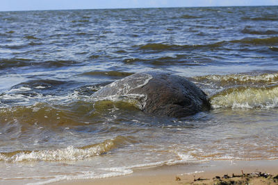 Waves splashing on beach