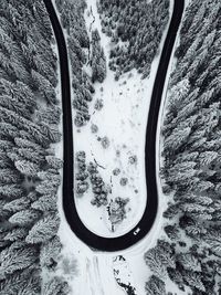 High angle view of road by snow covered trees 