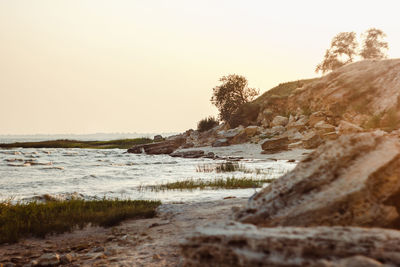 Scenic view of landscape against clear sky