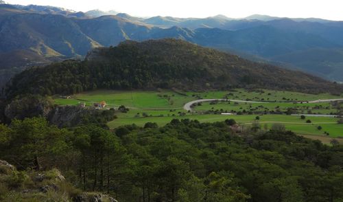 High angle view of trees on mountains