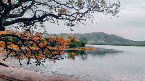 Scenic view of lake by trees against sky