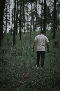 Rear view of man walking in forest