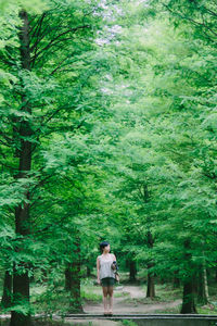 Rear view of woman standing in forest