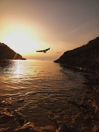 Silhouette birds flying over sea against sky during sunset