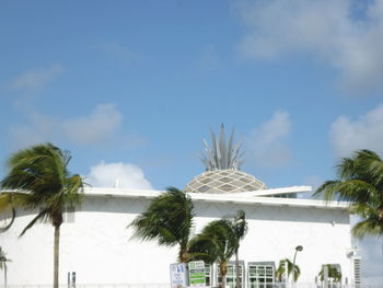 Palm trees against sky