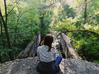 Rear view of woman sitting in forest