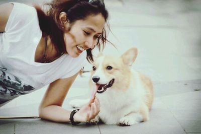 pets