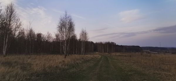 Scenic view of field against sky