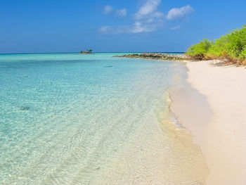 Scenic view of beach against blue sky