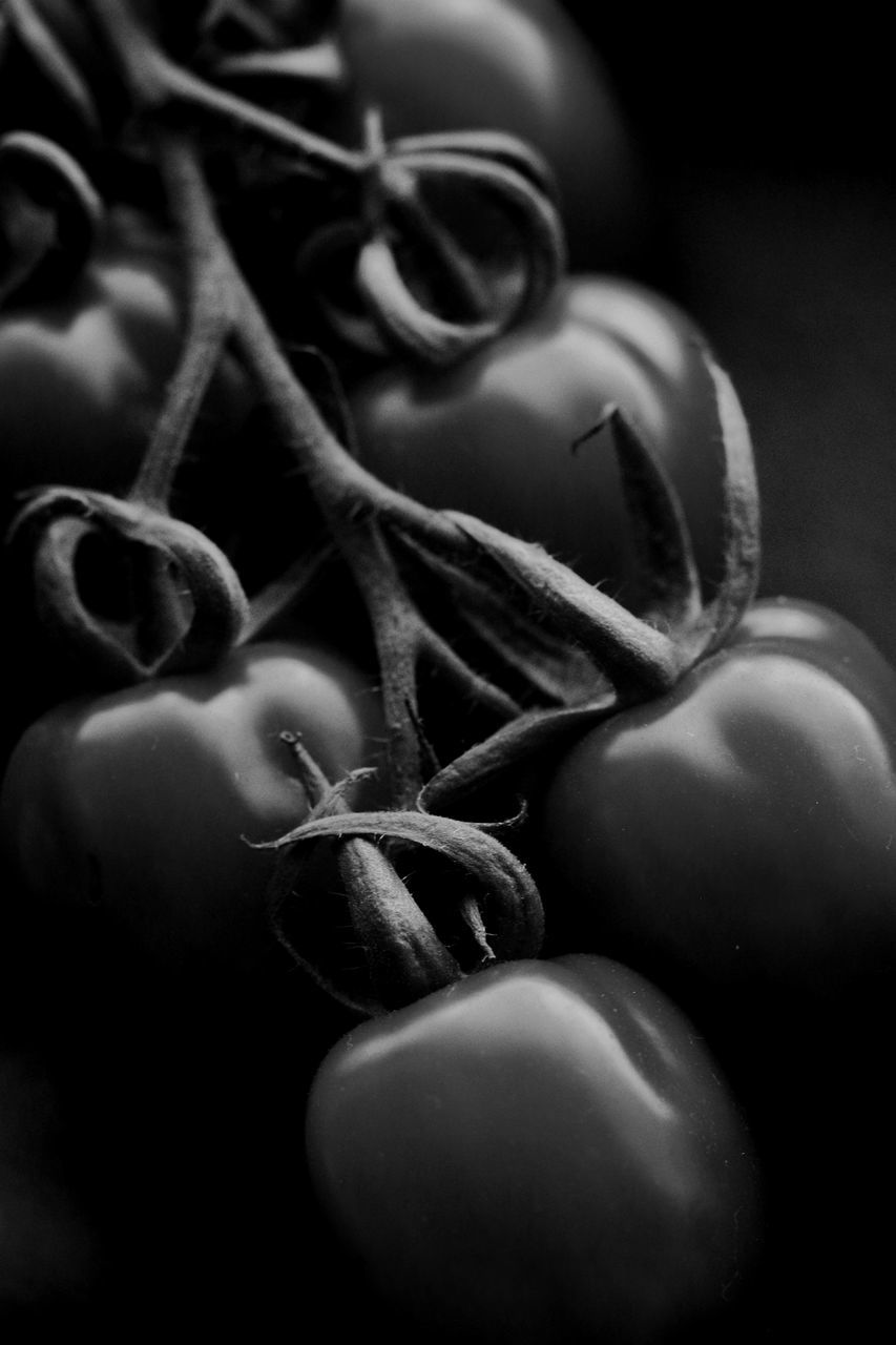 CLOSE-UP OF BERRIES