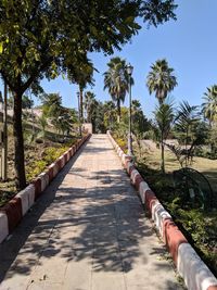 Footpath amidst palm trees against clear sky