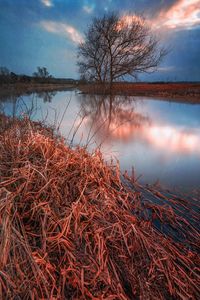 Scenic view of lake against cloudy sky