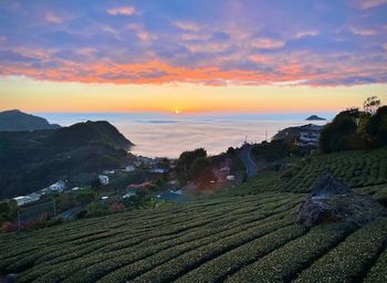 Scenic view of agricultural field against sky during sunset