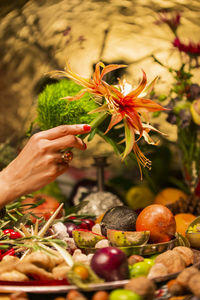 Cropped image of person holding fruit