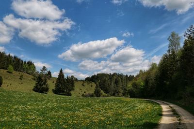 Scenic view of trees on field against sky