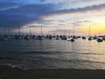 Sailboats moored in sea at sunset