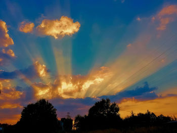 Low angle view of silhouette trees against sky during sunset