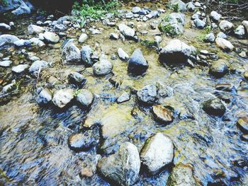 High angle view of rocks in water