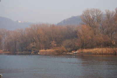 Scenic view of lake by trees against sky