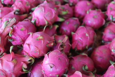 Full frame shot of pink dragon fruits for sale in market