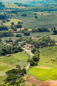 High angle view of trees on field