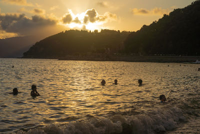 Ducks swimming in lake during sunset