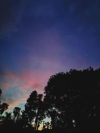 Low angle view of silhouette trees against sky