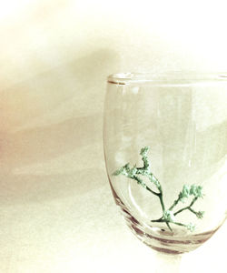 Close-up of glass of water against white background