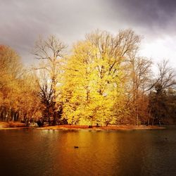 Scenic view of river against cloudy sky