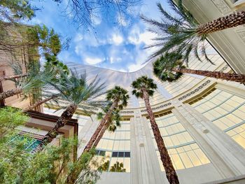 Low angle view of palm trees and buildings against sky