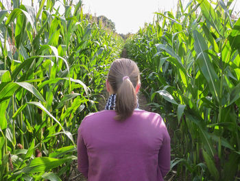 Rear view of woman walking amidst crops at farm