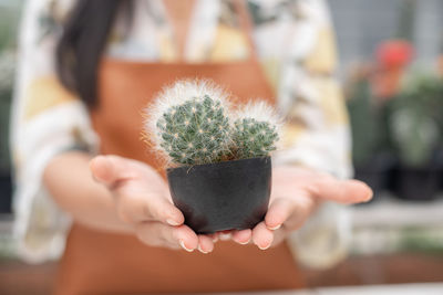 Close-up of woman holding cactus flower pot