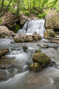 Scenic view of waterfall in forest